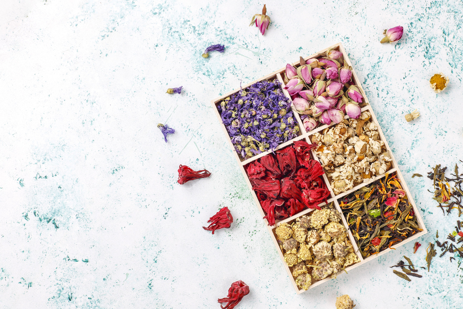 Varias plantas medicinales frescas y secas sobre mesa de madera, libro abierto explicando sus usos, ideal para principiantes