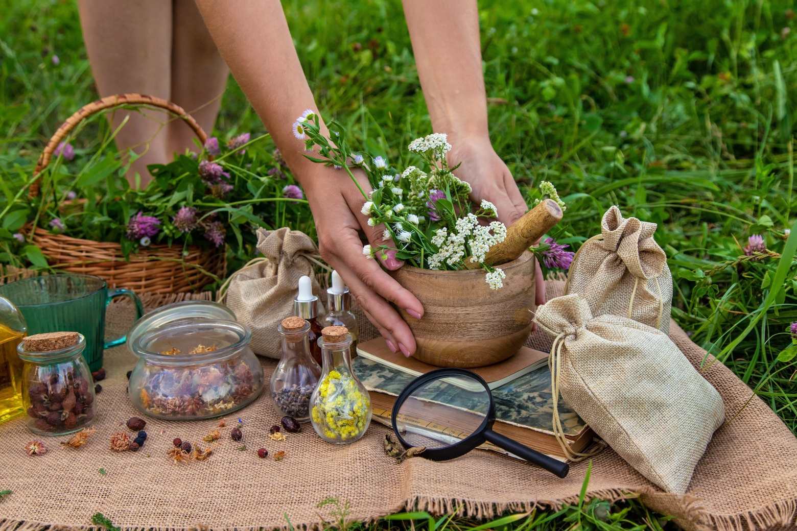 ALT general imagen 5 PLANTSEO